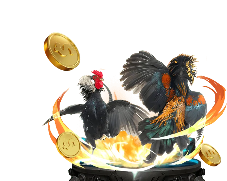 Khuyến mãi TDTC 2026